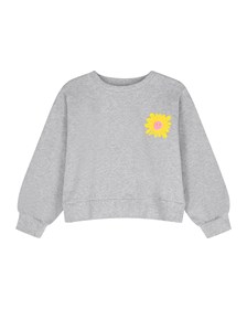 sweater ANNABELLE grey